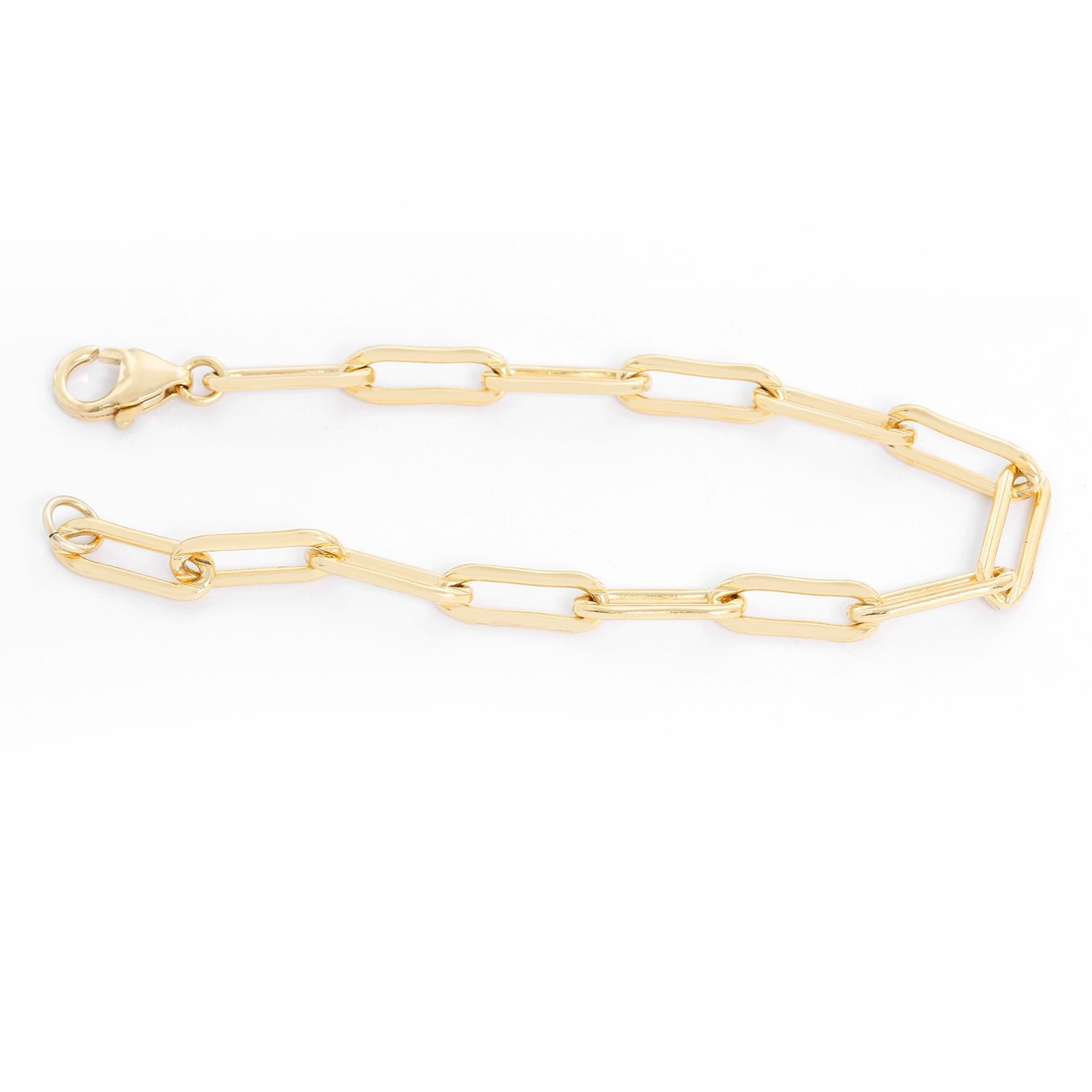 Erica Kleiman Gold Filled Paper Clip Chain Bracelet